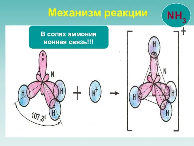 Механизм реакции В солях аммония ионная связь!!!