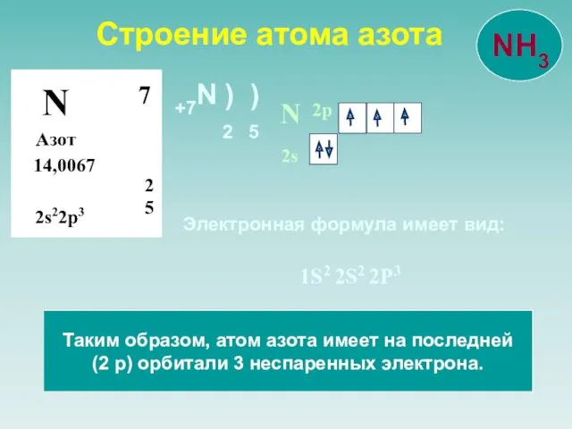 Строение атома азота N Азот 14,0067 2 5 7 2s22p3 N 2s 2p