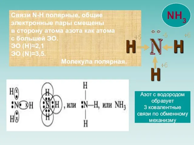 Связи N-H полярные, общие электронные пары смещены в сторону атома азота как атома
