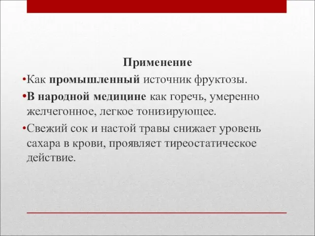 Применение Как промышленный источник фруктозы. В народной медицине как горечь,