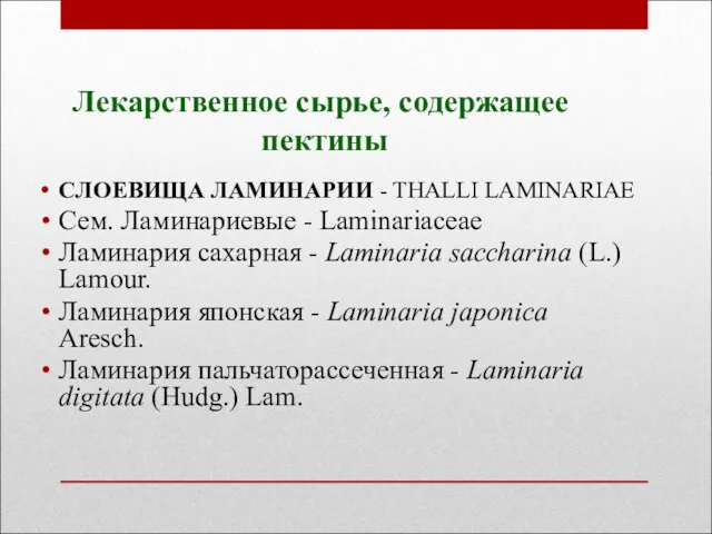 Лекарственное сырье, содержащее пектины СЛОЕВИЩА ЛАМИНАРИИ - THALLI LAMINARIAE Сем.