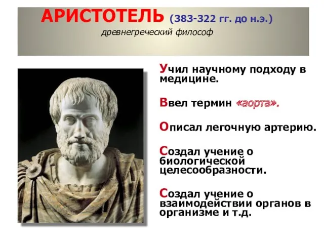 АРИСТОТЕЛЬ (383-322 гг. до н.э.) древнегреческий философ Учил научному подходу в медицине. Ввел