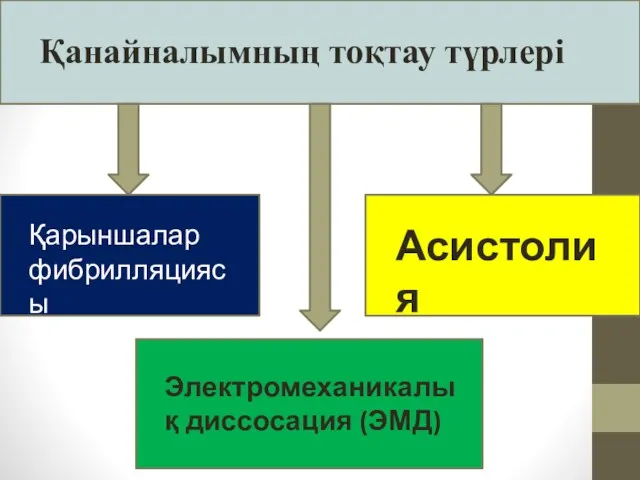 Қанайналымның тоқтау түрлері Қарыншалар фибрилляциясы Асистолия Электромеханикалық диссосация (ЭМД)