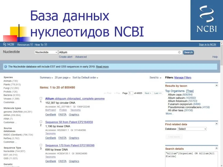 База данных нуклеотидов NCBI