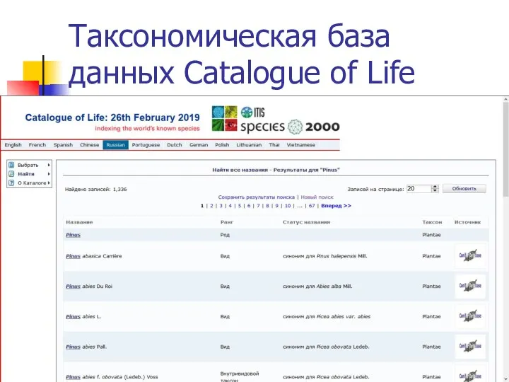 Таксономическая база данных Catalogue of Life