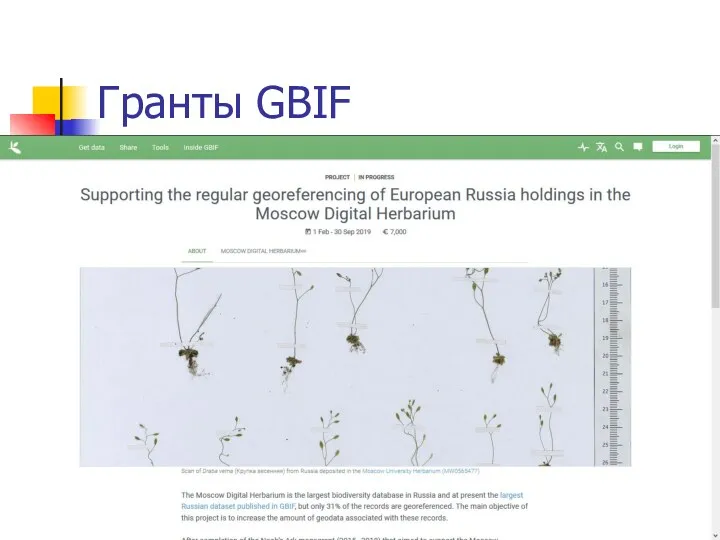 Гранты GBIF