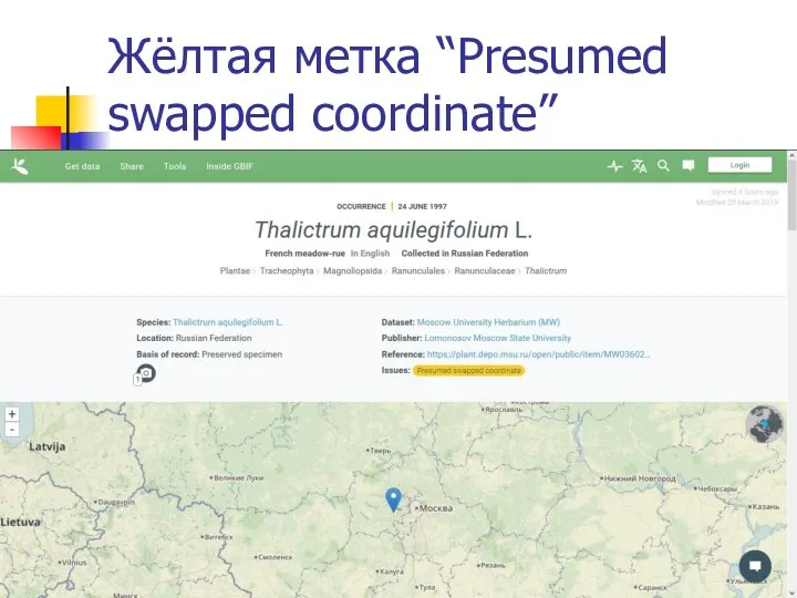 Жёлтая метка “Presumed swapped coordinate”