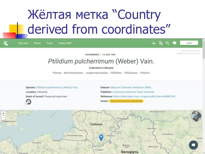 Жёлтая метка “Country derived from coordinates”