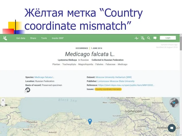 Жёлтая метка “Country coordinate mismatch”