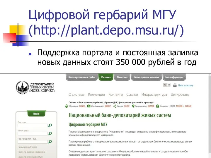 Цифровой гербарий МГУ (http://plant.depo.msu.ru/) Поддержка портала и постоянная заливка новых