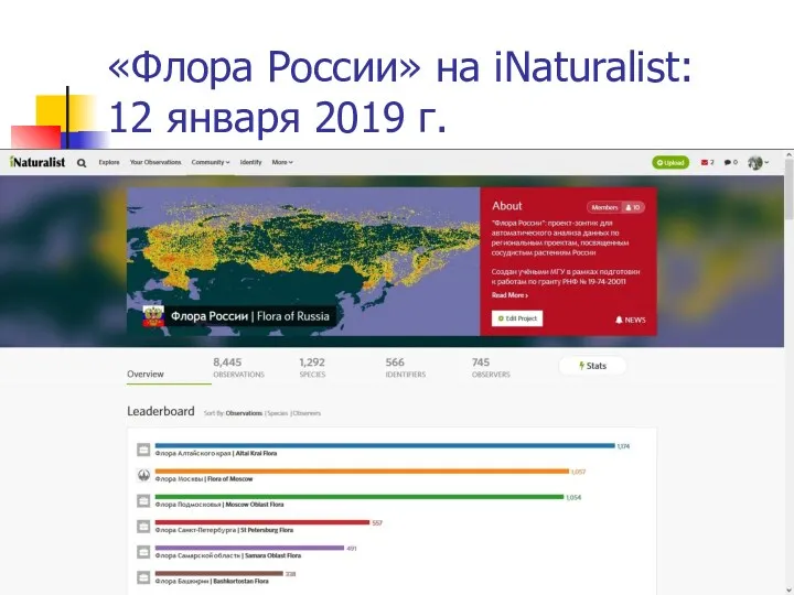 «Флора России» на iNaturalist: 12 января 2019 г.