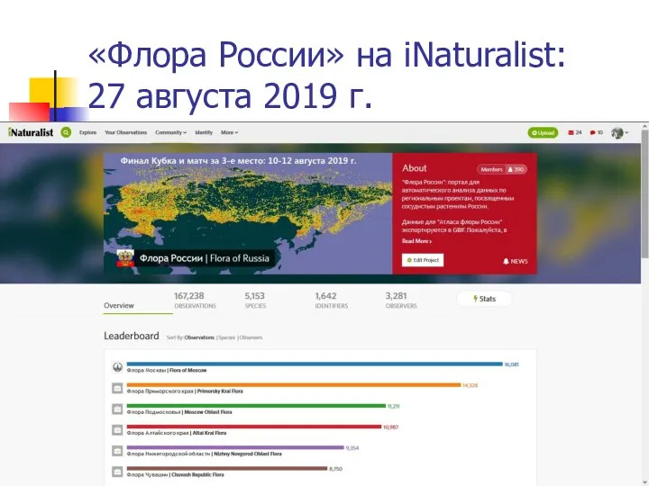 «Флора России» на iNaturalist: 27 августа 2019 г.