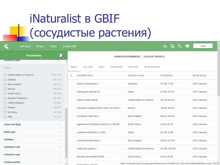 iNaturalist в GBIF (сосудистые растения)