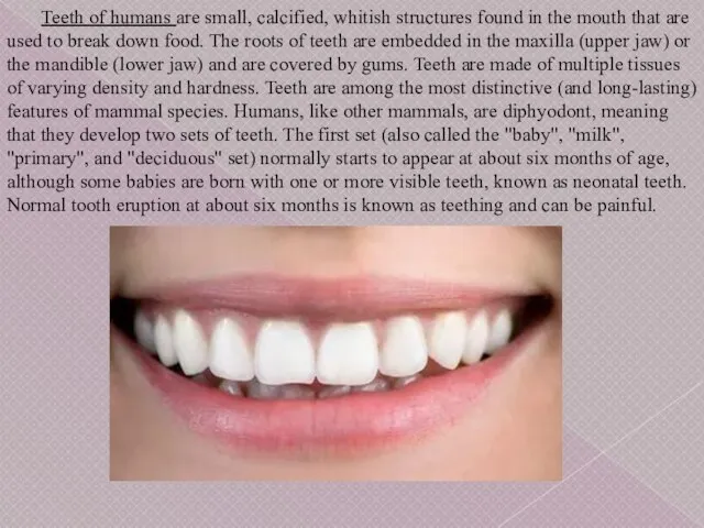 Teeth of humans are small, calcified, whitish structures found in