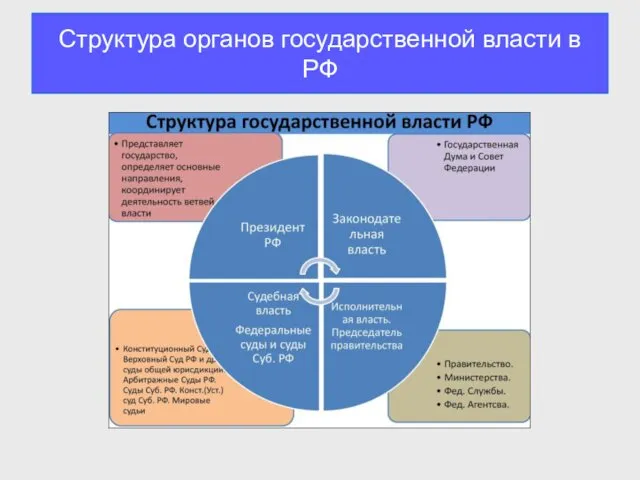 Структура органов государственной власти в РФ