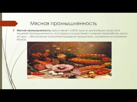 Мясная промышленность Мясная промышленность представляет собой одну из крупнейших отраслей