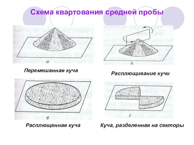 Схема квартования средней пробы Перемешанная куча Расплющивание кучи Расплющенная куча Куча, разделенная на секторы