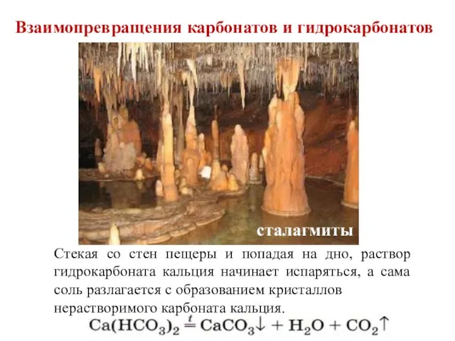 Взаимопревращения карбонатов и гидрокарбонатов Стекая со стен пещеры и попадая