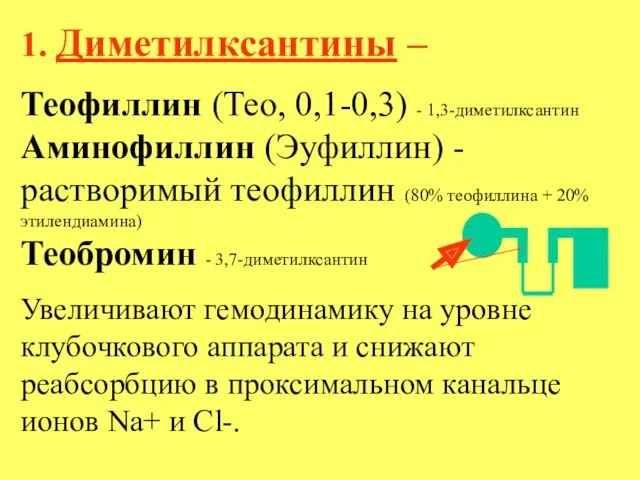 1. Диметилксантины – Теофиллин (Тео, 0,1-0,3) - 1,3-диметилксантин Аминофиллин (Эуфиллин)