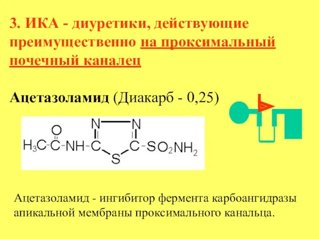 3. ИКА - диуретики, действующие преимущественно на проксимальный почечный каналец