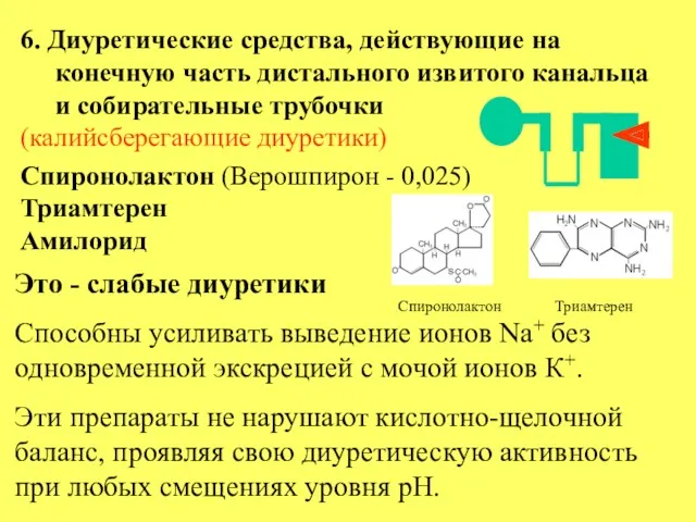 6. Диуретические средства, действующие на конечную часть дистального извитого канальца