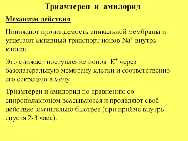 Триамтерен и амилорид Механизм действия Понижают проницаемость апикальной мембраны и