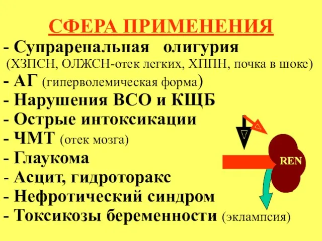 СФЕРА ПРИМЕНЕНИЯ - Супраренальная олигурия (ХЗПСН, ОЛЖСН-отек легких, ХППН, почка