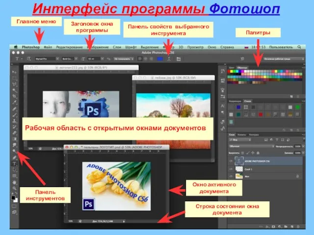 Интерфейс программы Фотошоп Главное меню Панель инструментов Панель свойств выбранного инструмента Палитры Рабочая