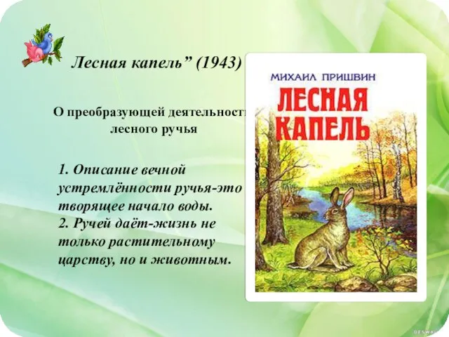 Лесная капель” (1943) О преобразующей деятельности лесного ручья 1. Описание