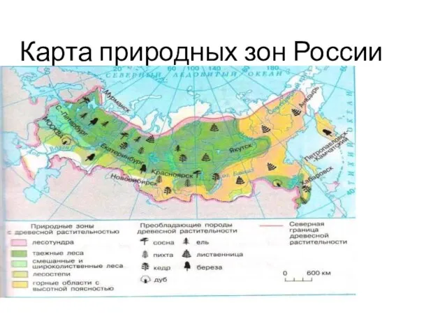 Карта природных зон России