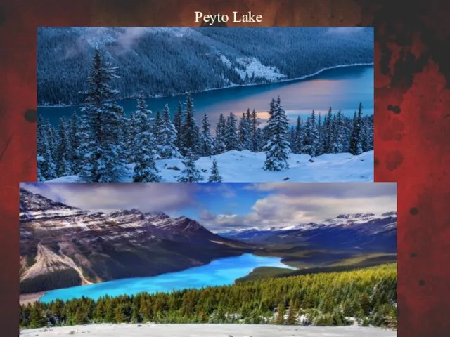 Peyto Lake