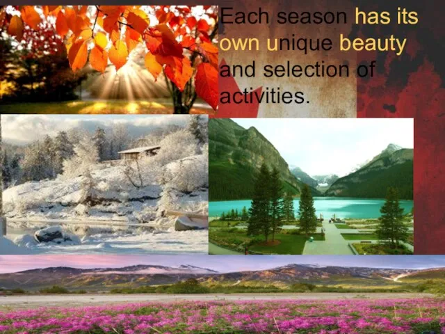 Each season has its own unique beauty and selection of activities.