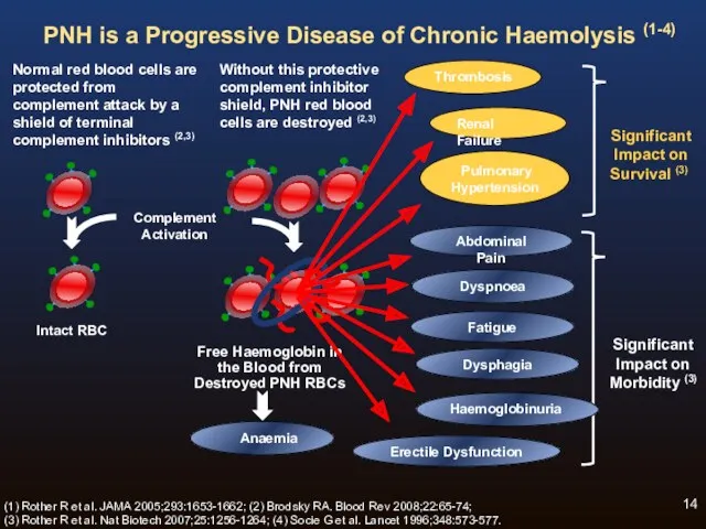 Normal red blood cells are protected from complement attack by