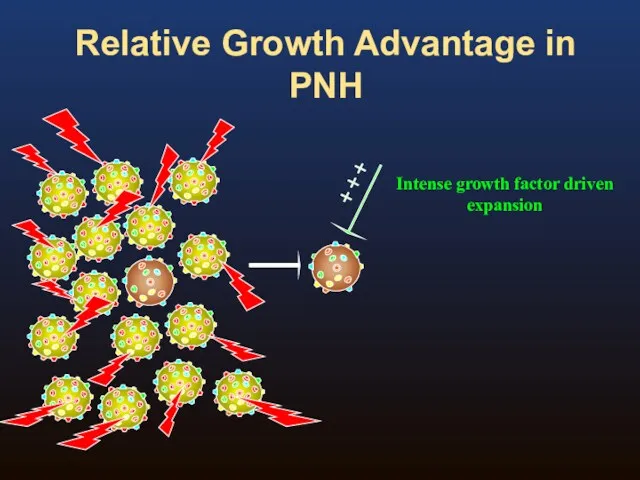 Relative Growth Advantage in PNH