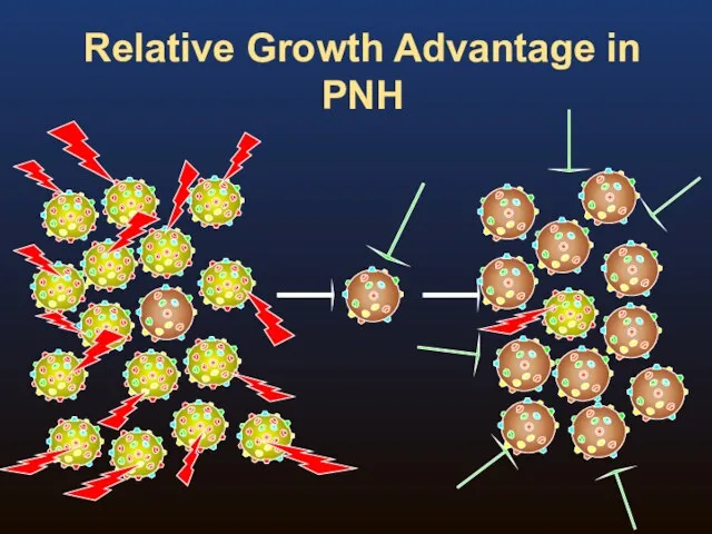 Relative Growth Advantage in PNH