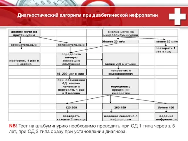 Диагностический алгоритм при диабетической нефропатии NB! Тест на альбуминурию необходимо проводить при СД