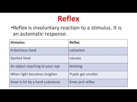 Reflex Reflex is involuntary reaction to a stimulus. It is an automatic response.