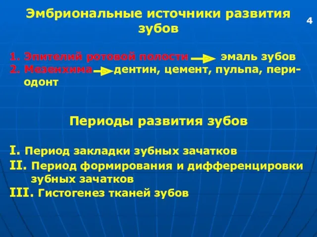 Эмбриональные источники развития зубов 1. Эпителий ротовой полости эмаль зубов