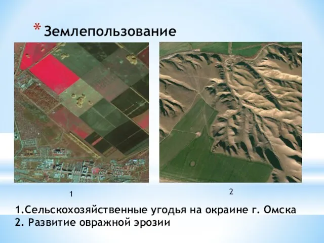 Землепользование 1.Сельскохозяйственные угодья на окраине г. Омска 2. Развитие овражной эрозии 1 2