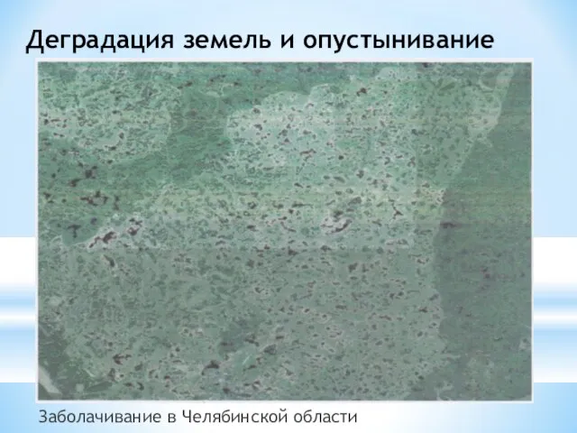 Деградация земель и опустынивание Заболачивание в Челябинской области