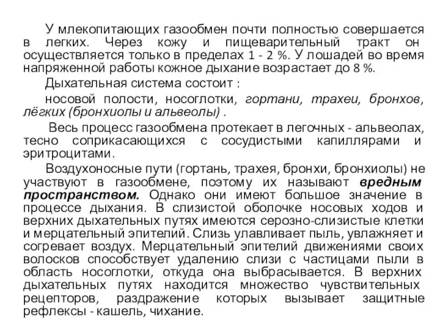 У млекопитающих газообмен почти полностью совершается в легких. Через кожу