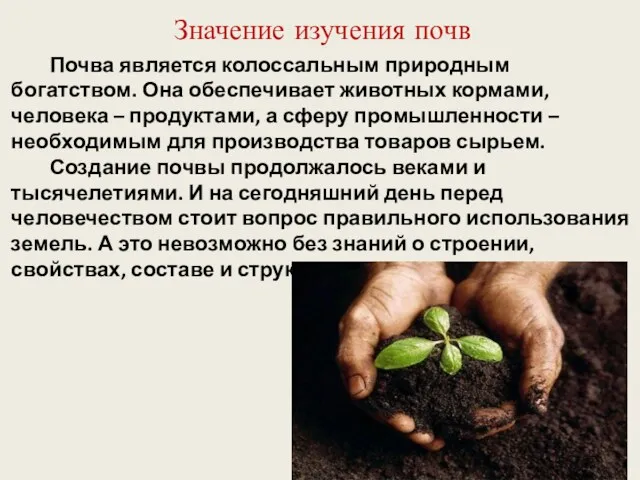 Значение изучения почв Почва является колоссальным природным богатством. Она обеспечивает
