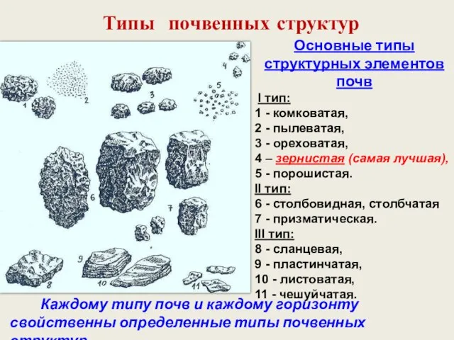 Основные типы структурных элементов почв I тип: 1 - комковатая,