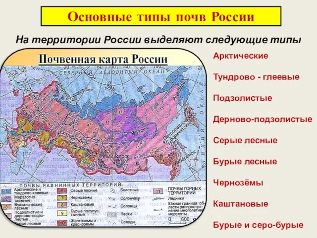 Основные типы почв России На территории России выделяют следующие типы