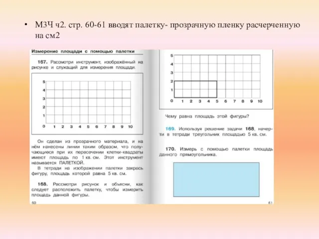 М3Ч ч2. стр. 60-61 вводят палетку- прозрачную пленку расчерченную на см2