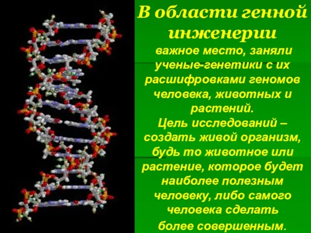 В области генной инженерии важное место, заняли ученые-генетики с их