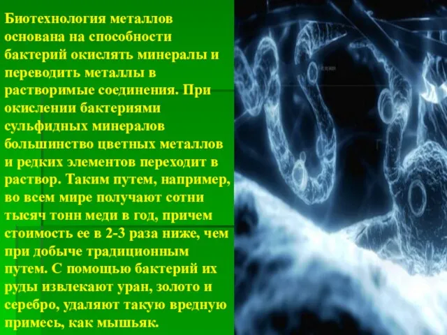 Биотехнология металлов основана на способности бактерий окислять минералы и переводить