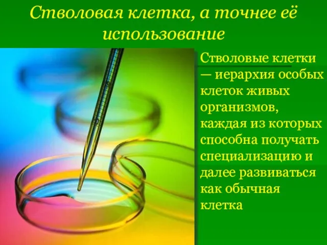 Стволовая клетка, а точнее её использование Стволовые клетки — иерархия