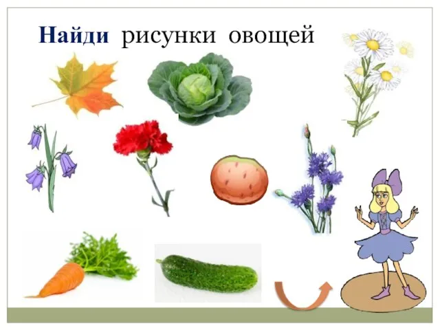 Найди рисунки овощей