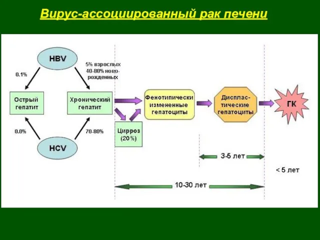 Вирус-ассоциированный рак печени